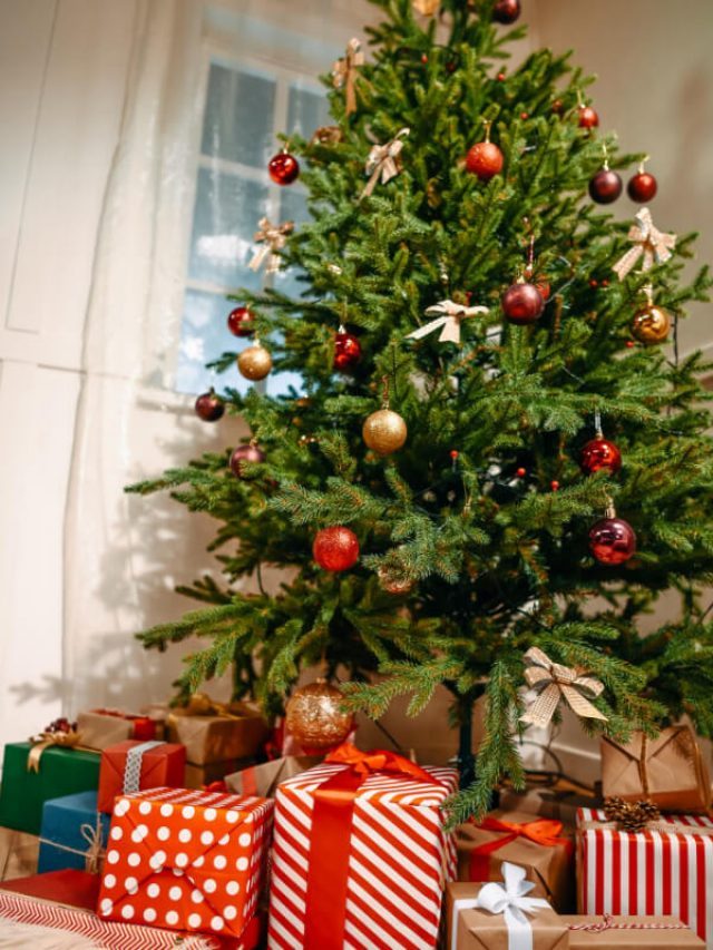 Idee Regalo Natale 2022